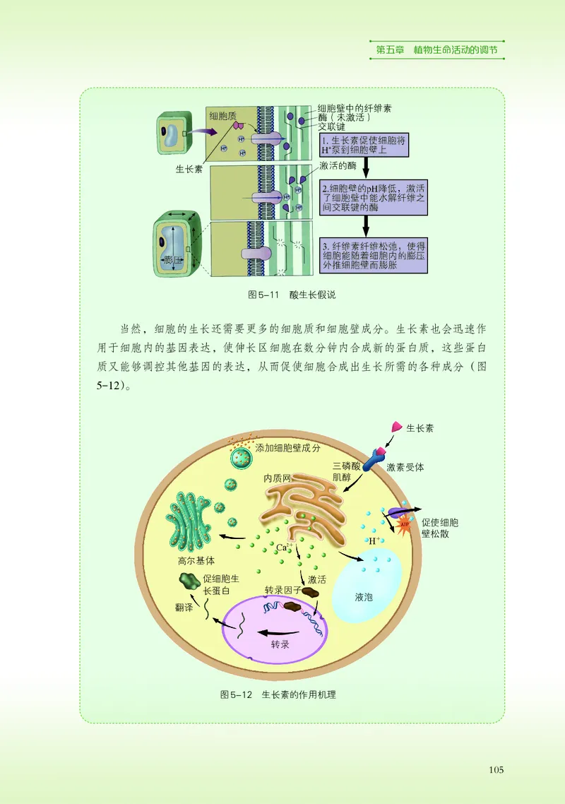 普通高中教科书&middot;生物学选择性必修1稳态与调节(1)_高中全套电子教材及答案。_01高中电子教材全套_生物学_浙科版_高中年级_选择性必修1稳态与调节