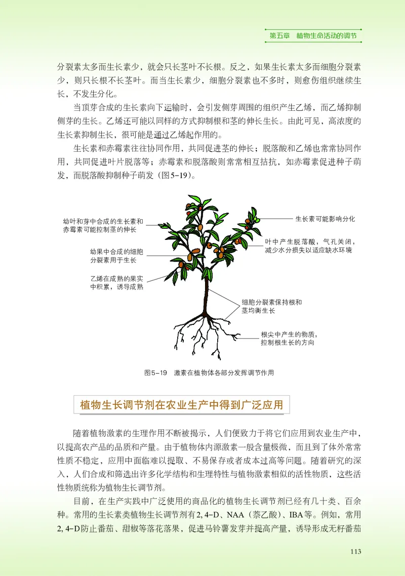 普通高中教科书&middot;生物学选择性必修1稳态与调节(1)_高中全套电子教材及答案。_01高中电子教材全套_生物学_浙科版_高中年级_选择性必修1稳态与调节