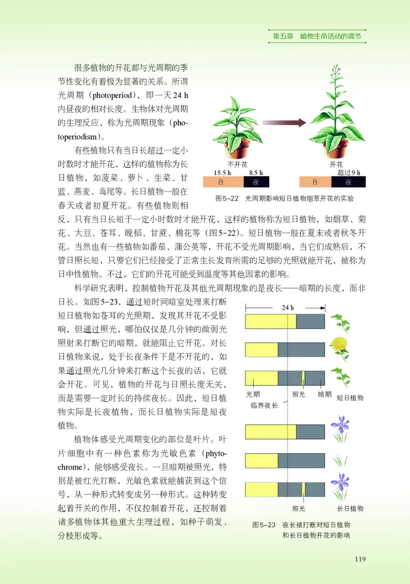 普通高中教科书&middot;生物学选择性必修1稳态与调节(1)_高中全套电子教材及答案。_01高中电子教材全套_生物学_浙科版_高中年级_选择性必修1稳态与调节