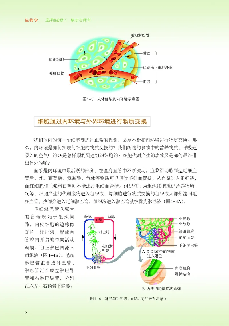 普通高中教科书&middot;生物学选择性必修1稳态与调节(1)_高中全套电子教材及答案。_01高中电子教材全套_生物学_浙科版_高中年级_选择性必修1稳态与调节