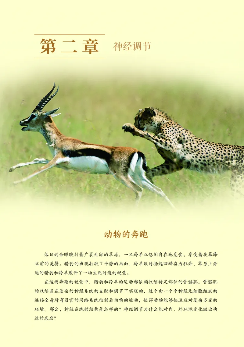 普通高中教科书&middot;生物学选择性必修1稳态与调节(1)_高中全套电子教材及答案。_01高中电子教材全套_生物学_浙科版_高中年级_选择性必修1稳态与调节