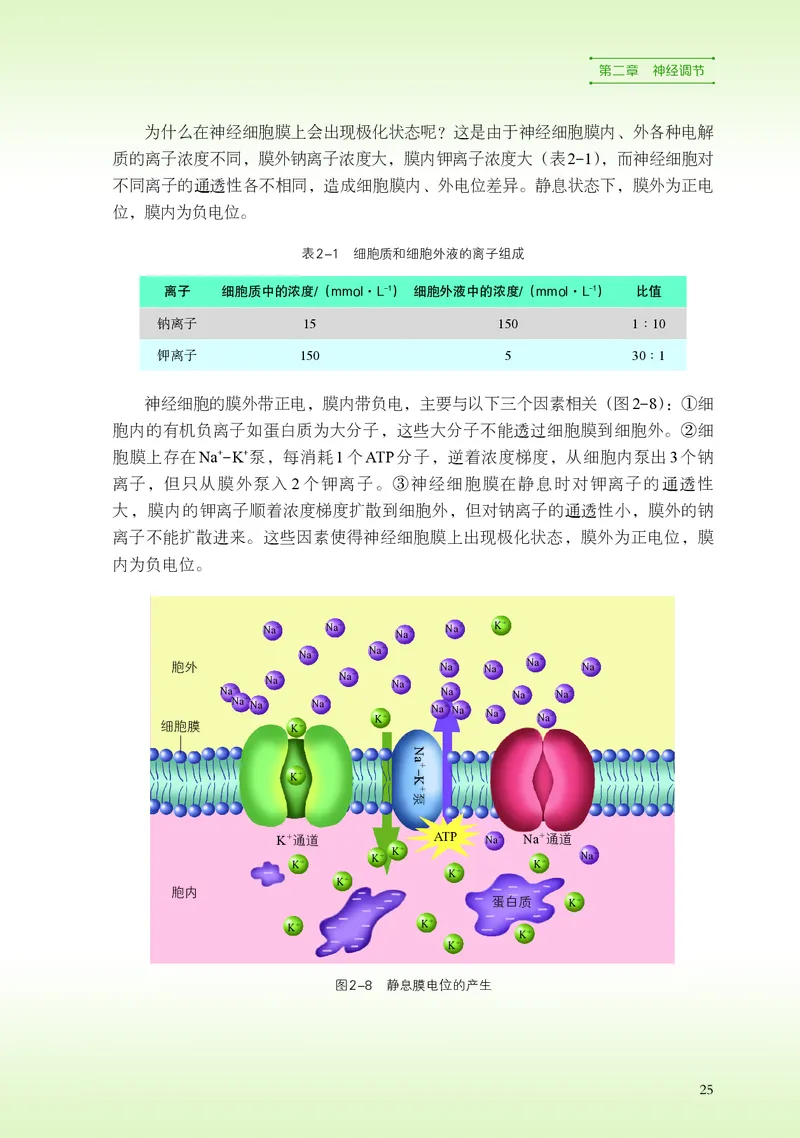 普通高中教科书&middot;生物学选择性必修1稳态与调节(1)_高中全套电子教材及答案。_01高中电子教材全套_生物学_浙科版_高中年级_选择性必修1稳态与调节