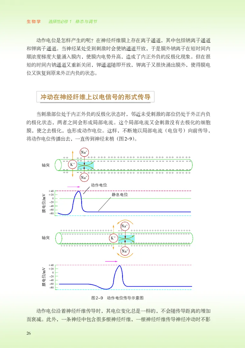 普通高中教科书&middot;生物学选择性必修1稳态与调节(1)_高中全套电子教材及答案。_01高中电子教材全套_生物学_浙科版_高中年级_选择性必修1稳态与调节