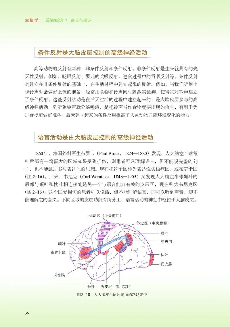 普通高中教科书&middot;生物学选择性必修1稳态与调节(1)_高中全套电子教材及答案。_01高中电子教材全套_生物学_浙科版_高中年级_选择性必修1稳态与调节
