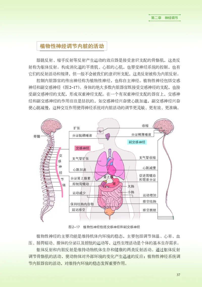 普通高中教科书&middot;生物学选择性必修1稳态与调节(1)_高中全套电子教材及答案。_01高中电子教材全套_生物学_浙科版_高中年级_选择性必修1稳态与调节