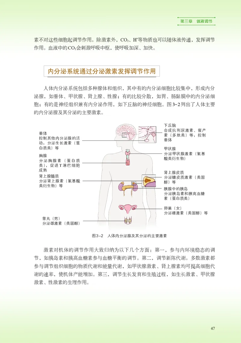 普通高中教科书&middot;生物学选择性必修1稳态与调节(1)_高中全套电子教材及答案。_01高中电子教材全套_生物学_浙科版_高中年级_选择性必修1稳态与调节