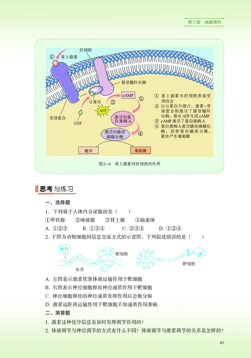 普通高中教科书&middot;生物学选择性必修1稳态与调节(1)_高中全套电子教材及答案。_01高中电子教材全套_生物学_浙科版_高中年级_选择性必修1稳态与调节