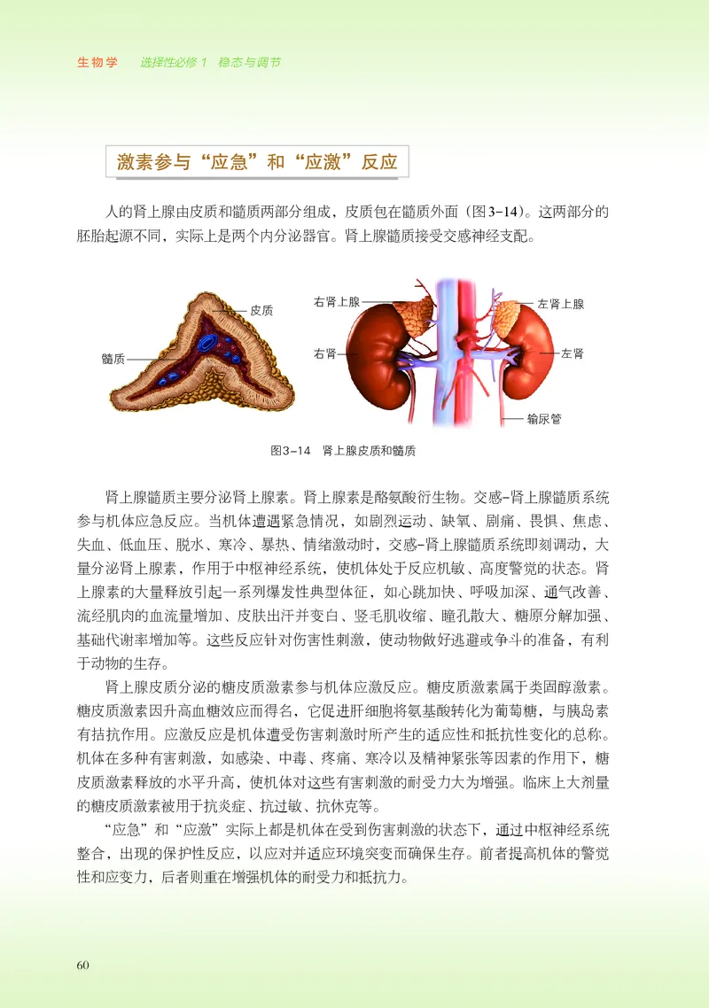 普通高中教科书&middot;生物学选择性必修1稳态与调节(1)_高中全套电子教材及答案。_01高中电子教材全套_生物学_浙科版_高中年级_选择性必修1稳态与调节