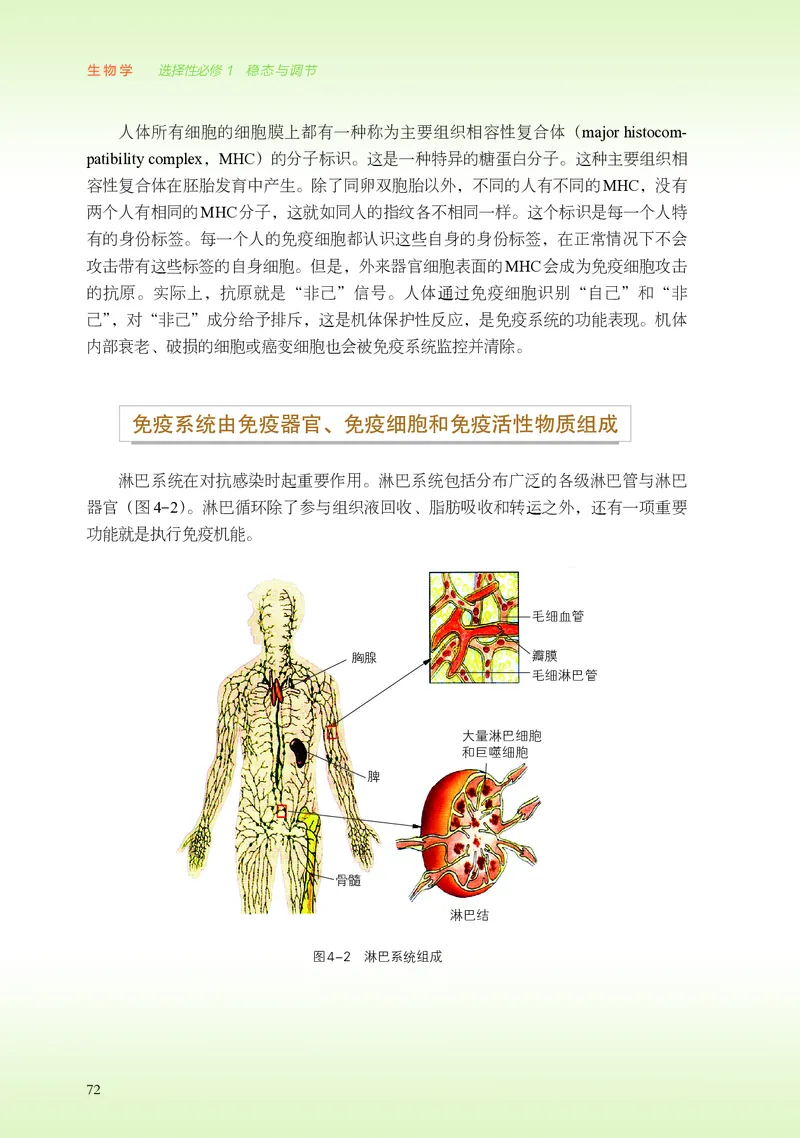 普通高中教科书&middot;生物学选择性必修1稳态与调节(1)_高中全套电子教材及答案。_01高中电子教材全套_生物学_浙科版_高中年级_选择性必修1稳态与调节