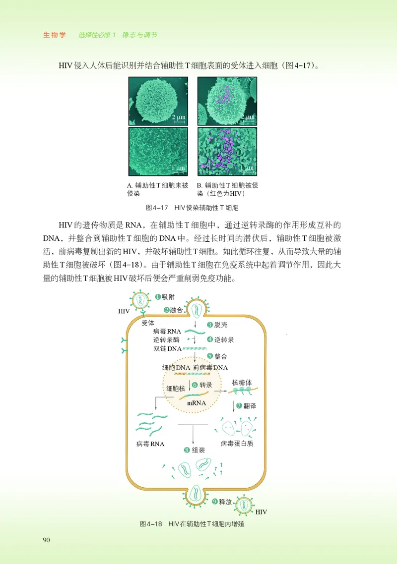 普通高中教科书&middot;生物学选择性必修1稳态与调节(1)_高中全套电子教材及答案。_01高中电子教材全套_生物学_浙科版_高中年级_选择性必修1稳态与调节