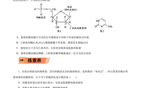 第58练核酸-2023年高考化学一轮复习小题多维练（原卷版）_05高考化学_通用版（老高考）复习资料_2023年复习资料_一轮复习_2023年高考化学一轮复习小题多维练（全国通用）