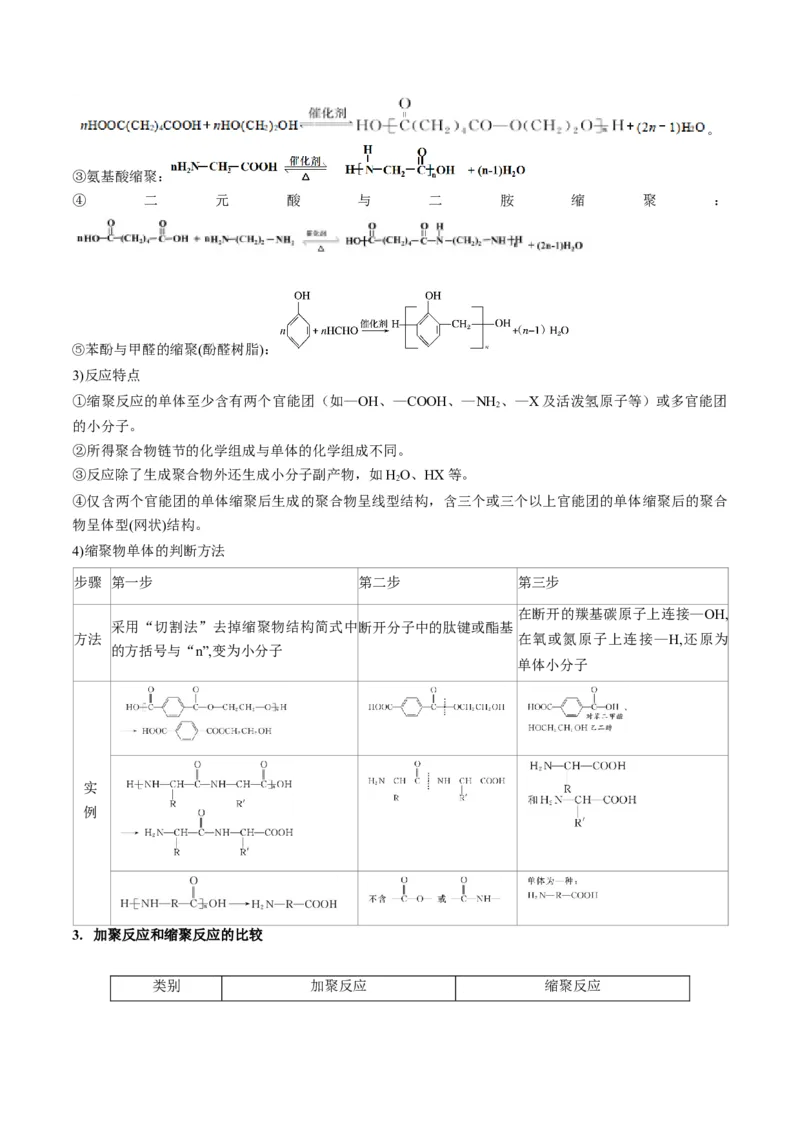 第40讲生物大分子合成高分子（讲义）（解析版）_05高考化学_2024年新高考资料_1.2024一轮复习_2024年高考化学一轮复习讲练测（新教材新高考）