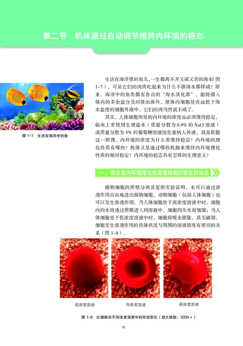 普通高中教科书&middot;生物学选择性必修1稳态与调节_高中全套电子教材及答案。_01高中电子教材全套_生物学_沪科教版_高中年级_选择性必修1稳态与调节