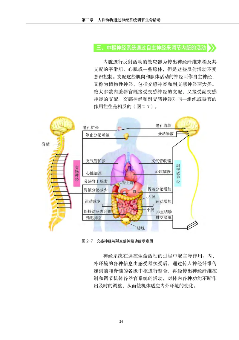 普通高中教科书&middot;生物学选择性必修1稳态与调节_高中全套电子教材及答案。_01高中电子教材全套_生物学_沪科教版_高中年级_选择性必修1稳态与调节