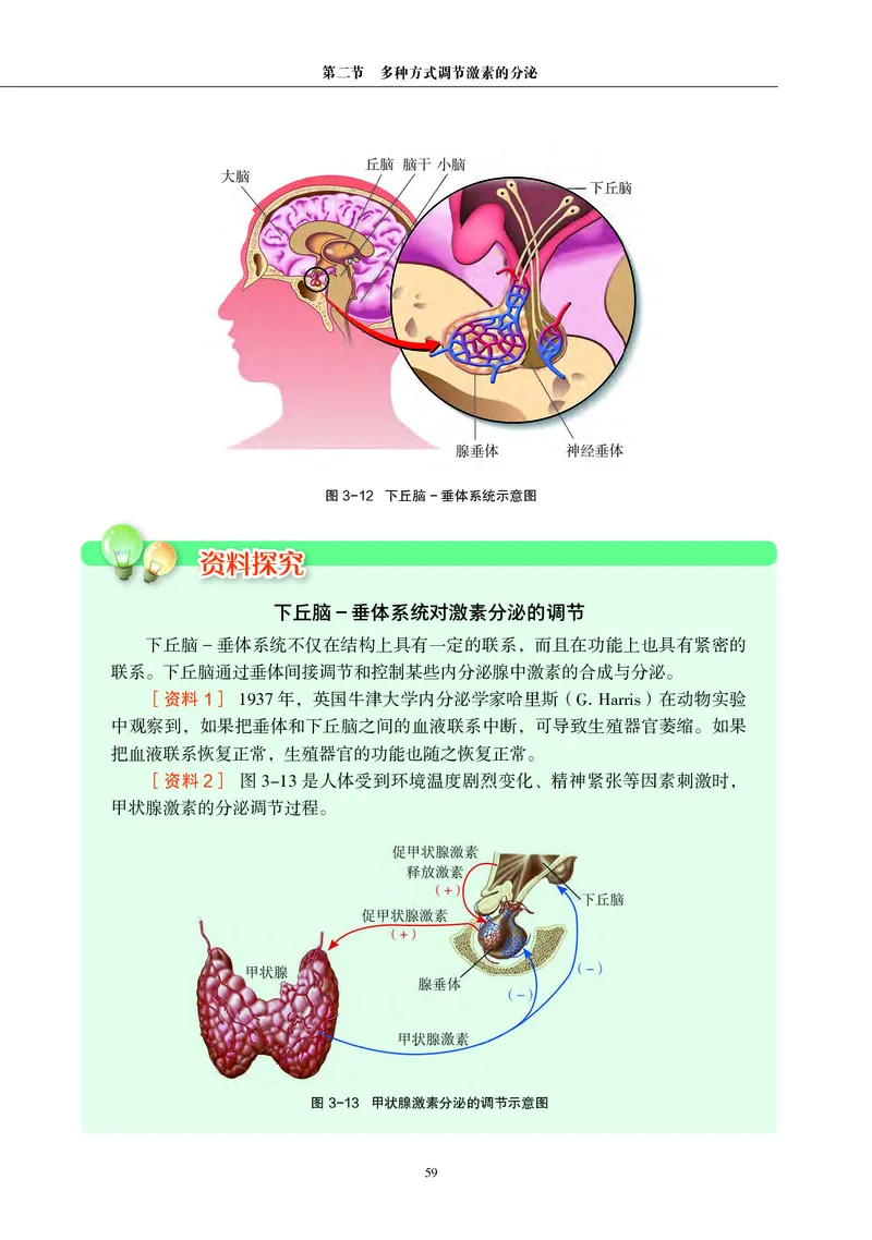 普通高中教科书&middot;生物学选择性必修1稳态与调节_高中全套电子教材及答案。_01高中电子教材全套_生物学_沪科教版_高中年级_选择性必修1稳态与调节