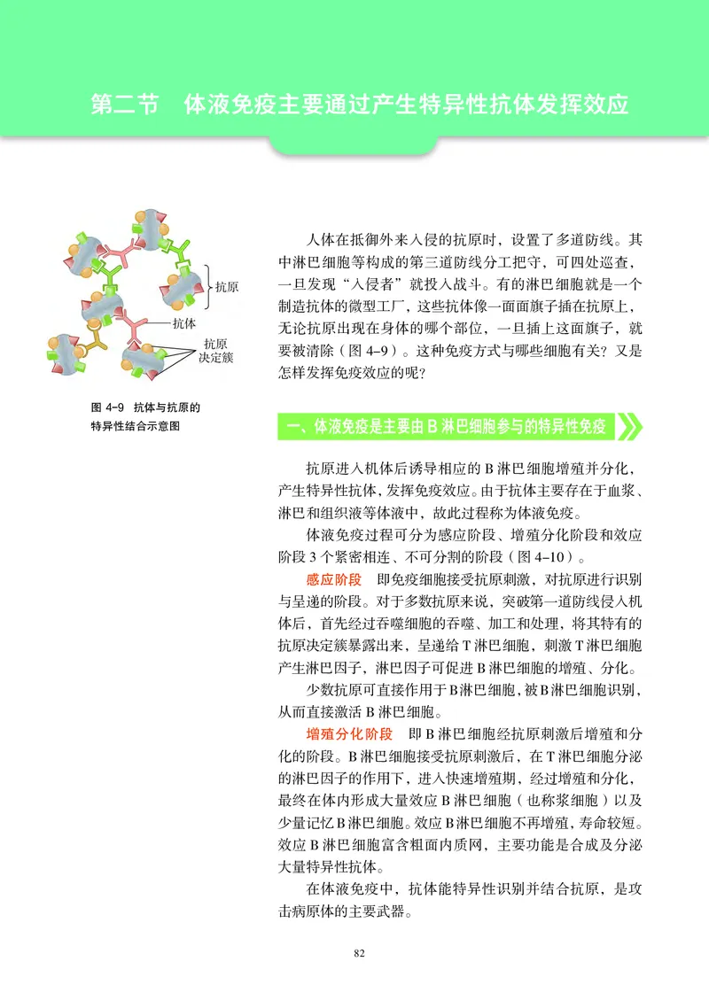 普通高中教科书&middot;生物学选择性必修1稳态与调节_高中全套电子教材及答案。_01高中电子教材全套_生物学_沪科教版_高中年级_选择性必修1稳态与调节