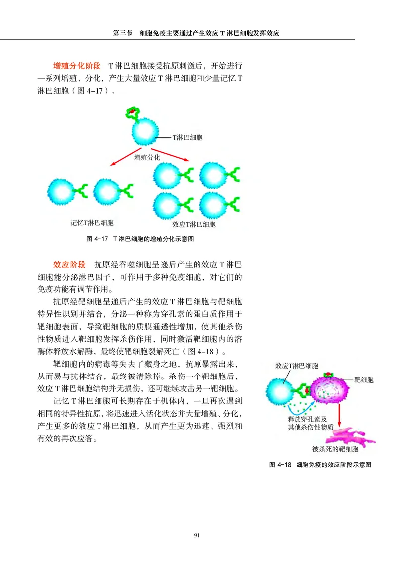 普通高中教科书&middot;生物学选择性必修1稳态与调节_高中全套电子教材及答案。_01高中电子教材全套_生物学_沪科教版_高中年级_选择性必修1稳态与调节