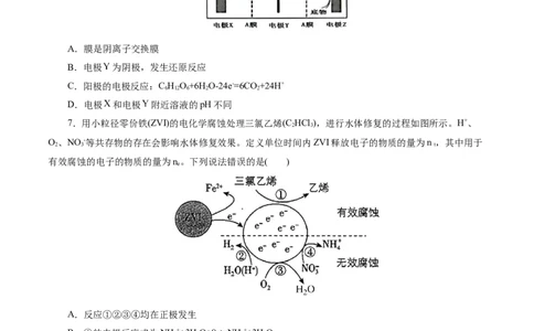 考点19电解池(好题冲关)(原卷版)_05高考化学_通用版（老高考）复习资料_2024年复习资料_完备战2024年高考化学一轮复习考点帮（全国通用）