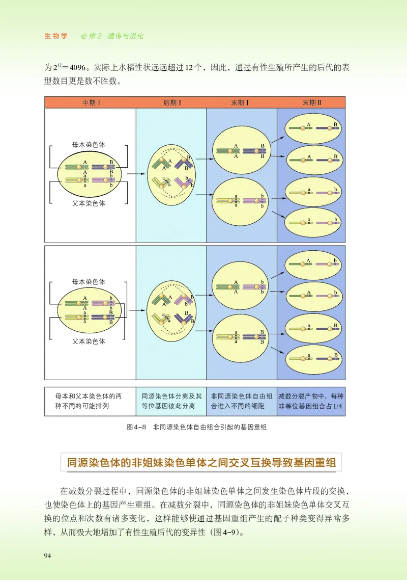 普通高中教科书&middot;生物学必修2遗传与进化(1)_高中全套电子教材及答案。_01高中电子教材全套_生物学_浙科版_高中年级_必修2遗传与进化