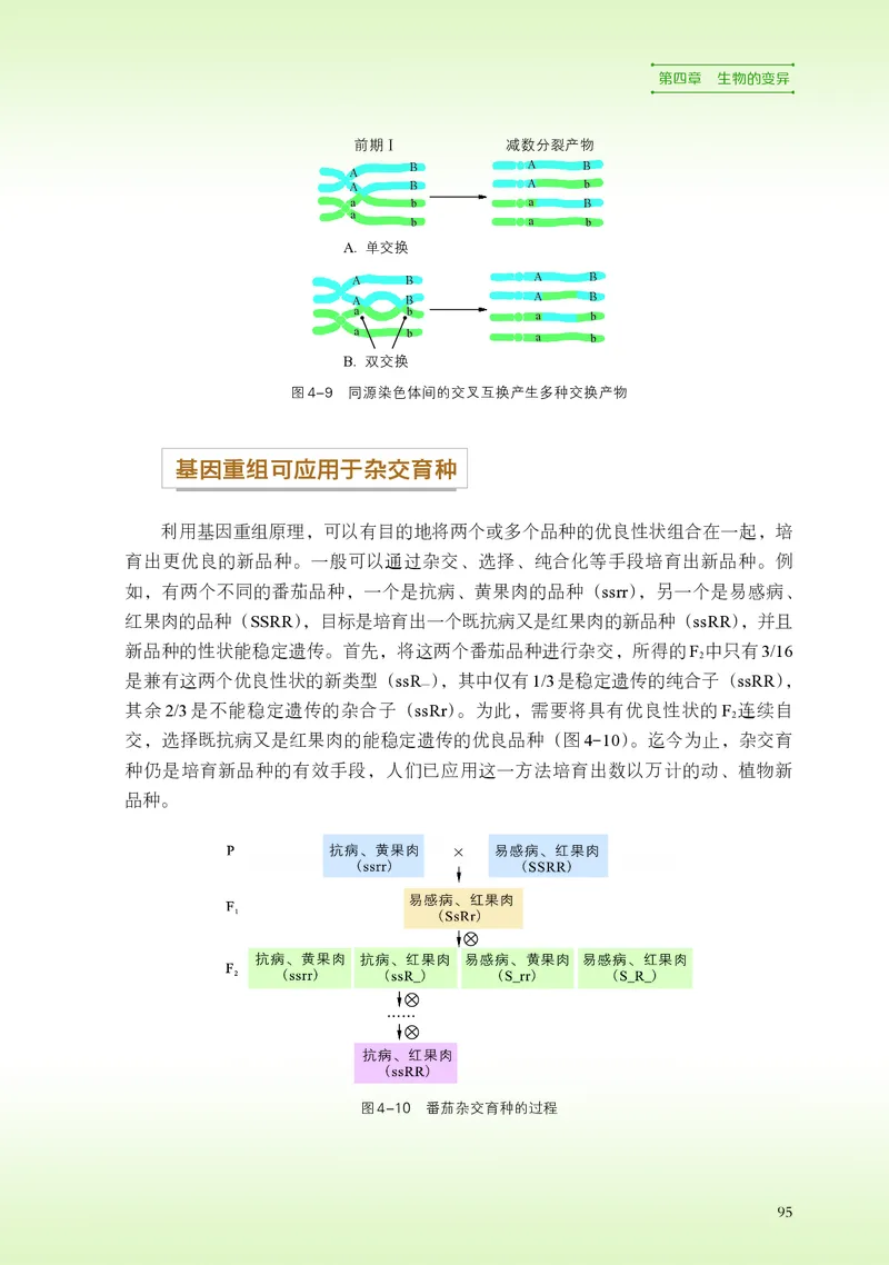 普通高中教科书&middot;生物学必修2遗传与进化(1)_高中全套电子教材及答案。_01高中电子教材全套_生物学_浙科版_高中年级_必修2遗传与进化