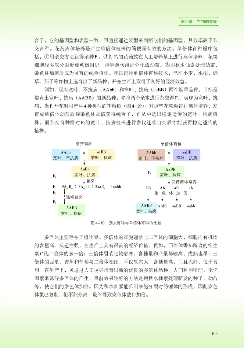 普通高中教科书&middot;生物学必修2遗传与进化(1)_高中全套电子教材及答案。_01高中电子教材全套_生物学_浙科版_高中年级_必修2遗传与进化