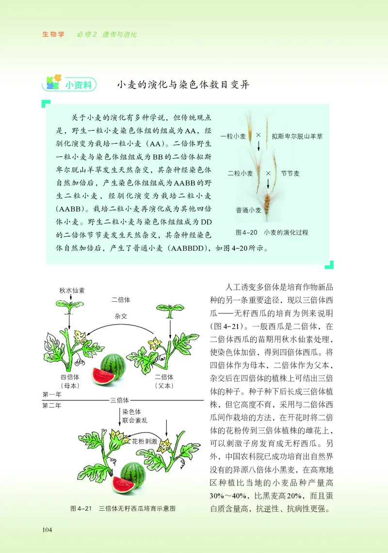普通高中教科书&middot;生物学必修2遗传与进化(1)_高中全套电子教材及答案。_01高中电子教材全套_生物学_浙科版_高中年级_必修2遗传与进化
