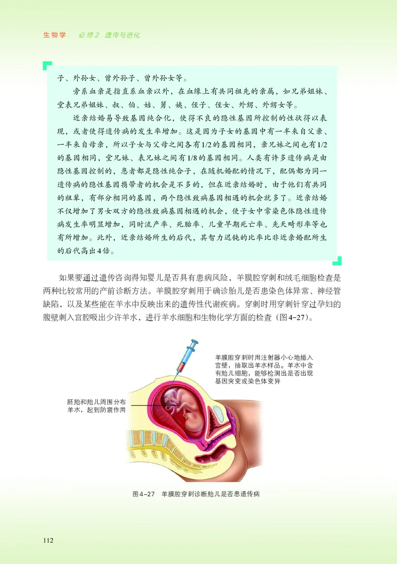 普通高中教科书&middot;生物学必修2遗传与进化(1)_高中全套电子教材及答案。_01高中电子教材全套_生物学_浙科版_高中年级_必修2遗传与进化