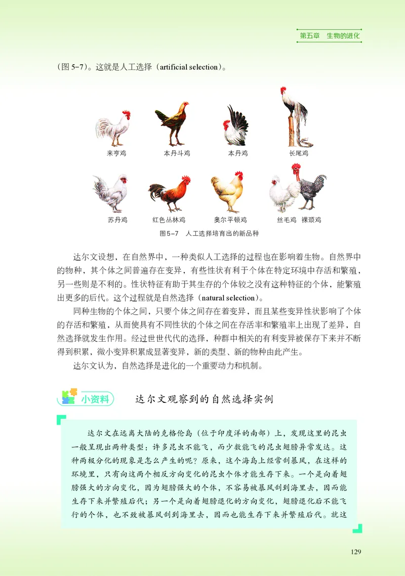 普通高中教科书&middot;生物学必修2遗传与进化(1)_高中全套电子教材及答案。_01高中电子教材全套_生物学_浙科版_高中年级_必修2遗传与进化