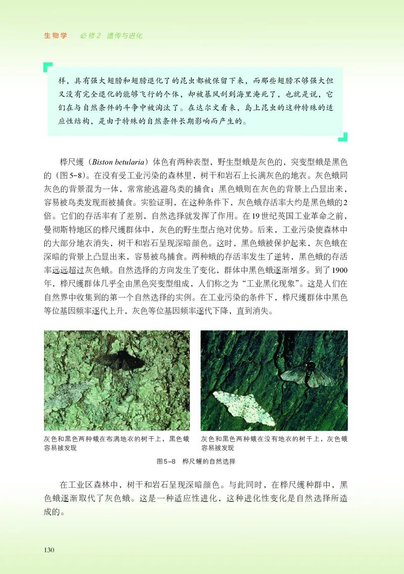 普通高中教科书&middot;生物学必修2遗传与进化(1)_高中全套电子教材及答案。_01高中电子教材全套_生物学_浙科版_高中年级_必修2遗传与进化