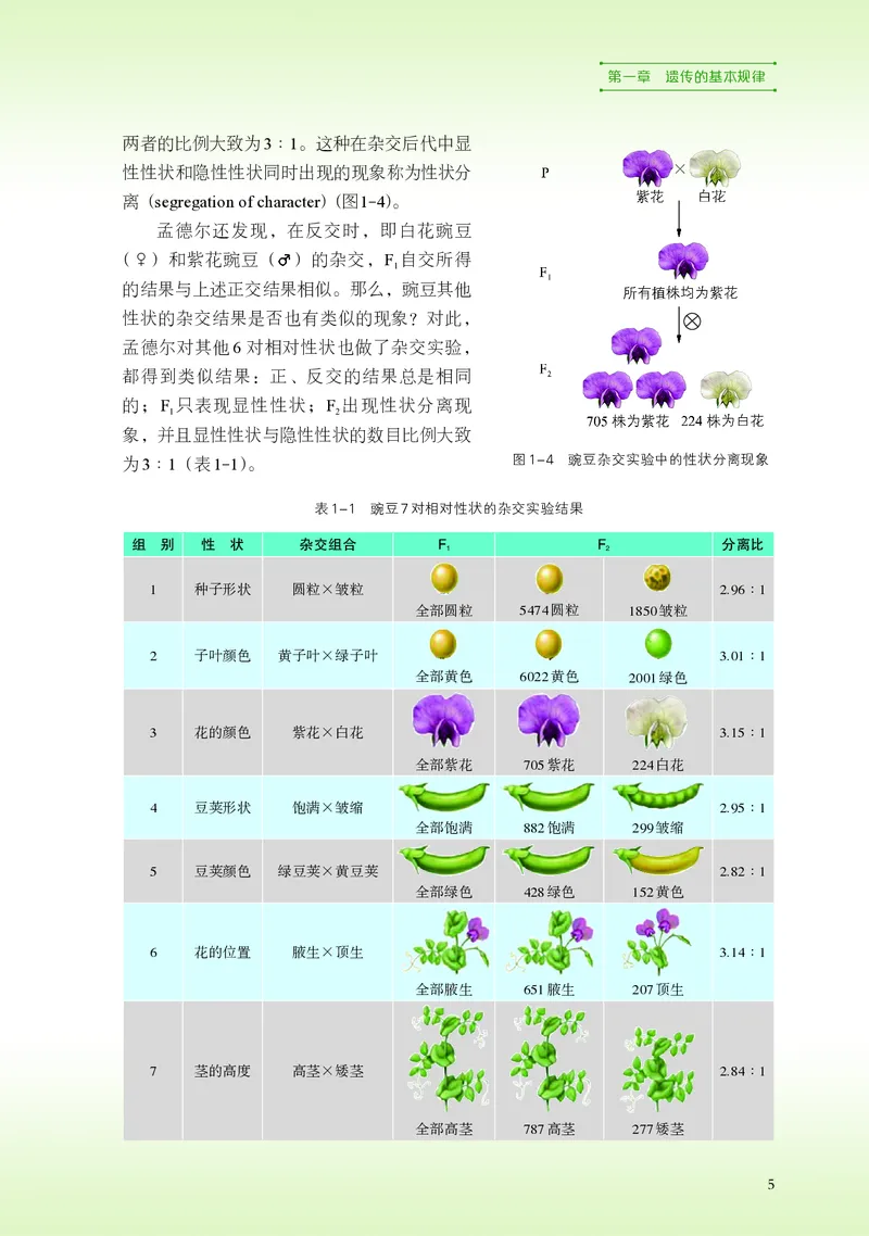 普通高中教科书&middot;生物学必修2遗传与进化(1)_高中全套电子教材及答案。_01高中电子教材全套_生物学_浙科版_高中年级_必修2遗传与进化