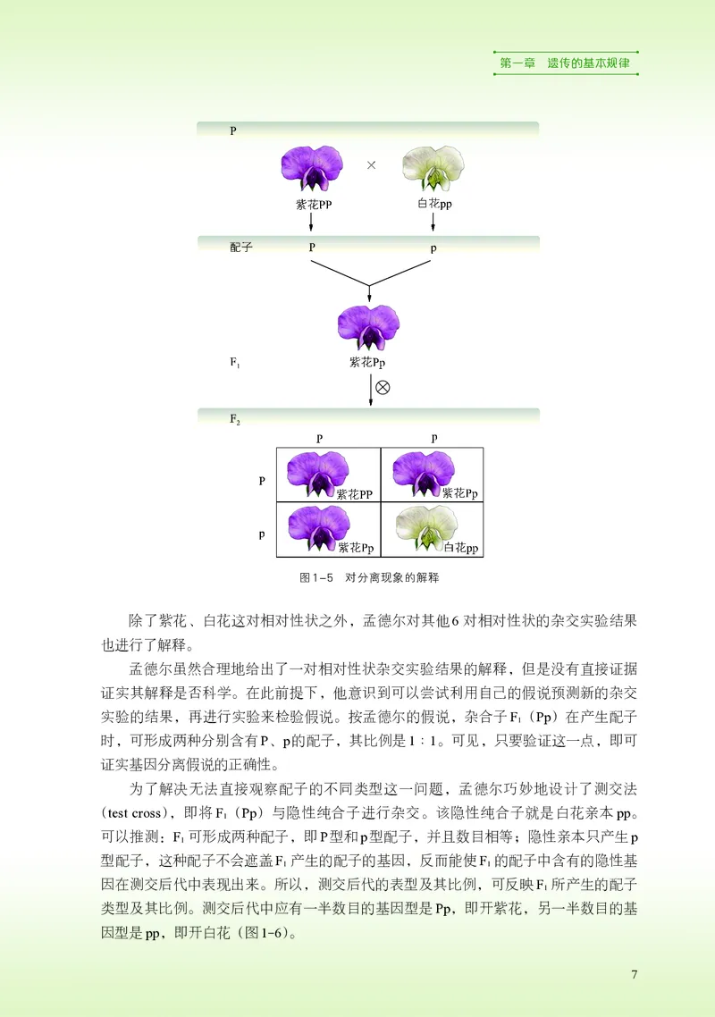 普通高中教科书&middot;生物学必修2遗传与进化(1)_高中全套电子教材及答案。_01高中电子教材全套_生物学_浙科版_高中年级_必修2遗传与进化