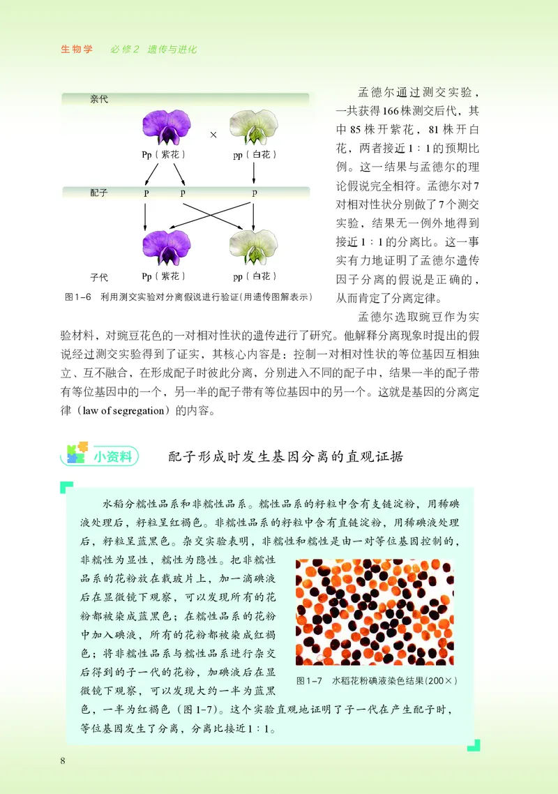 普通高中教科书&middot;生物学必修2遗传与进化(1)_高中全套电子教材及答案。_01高中电子教材全套_生物学_浙科版_高中年级_必修2遗传与进化