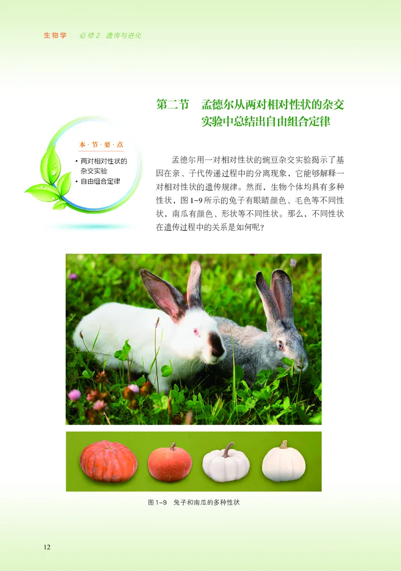 普通高中教科书&middot;生物学必修2遗传与进化(1)_高中全套电子教材及答案。_01高中电子教材全套_生物学_浙科版_高中年级_必修2遗传与进化