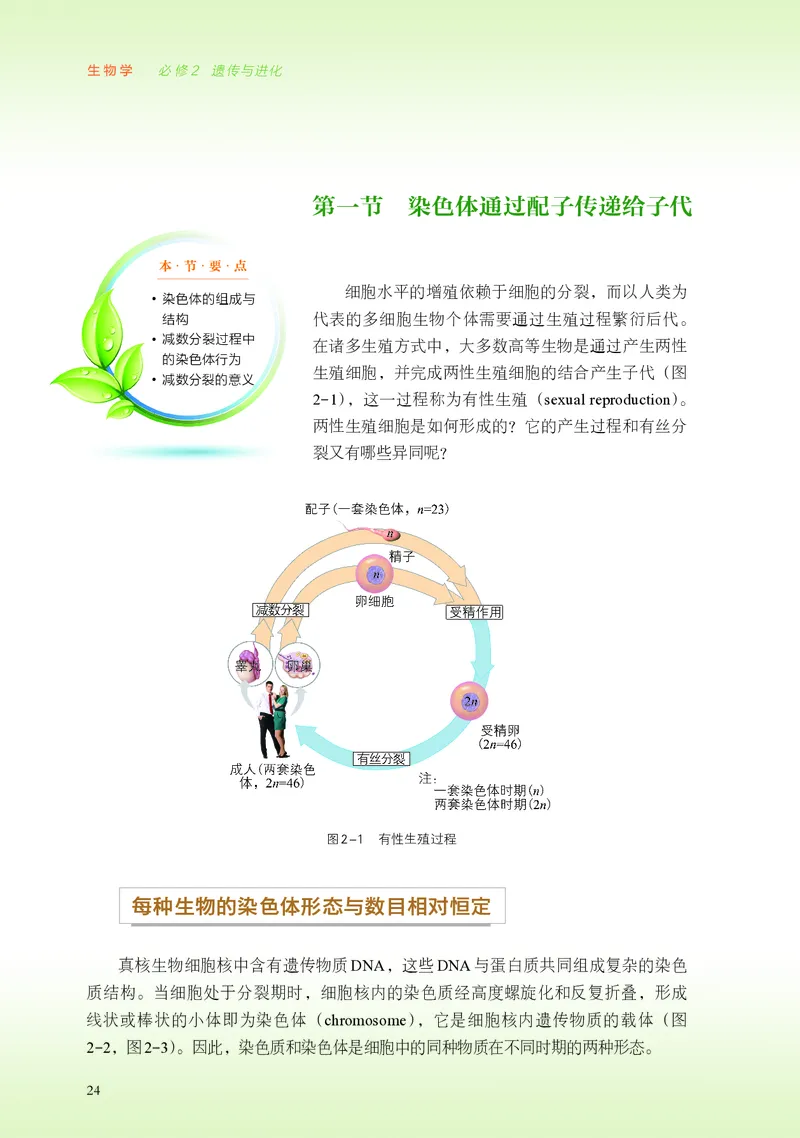 普通高中教科书&middot;生物学必修2遗传与进化(1)_高中全套电子教材及答案。_01高中电子教材全套_生物学_浙科版_高中年级_必修2遗传与进化