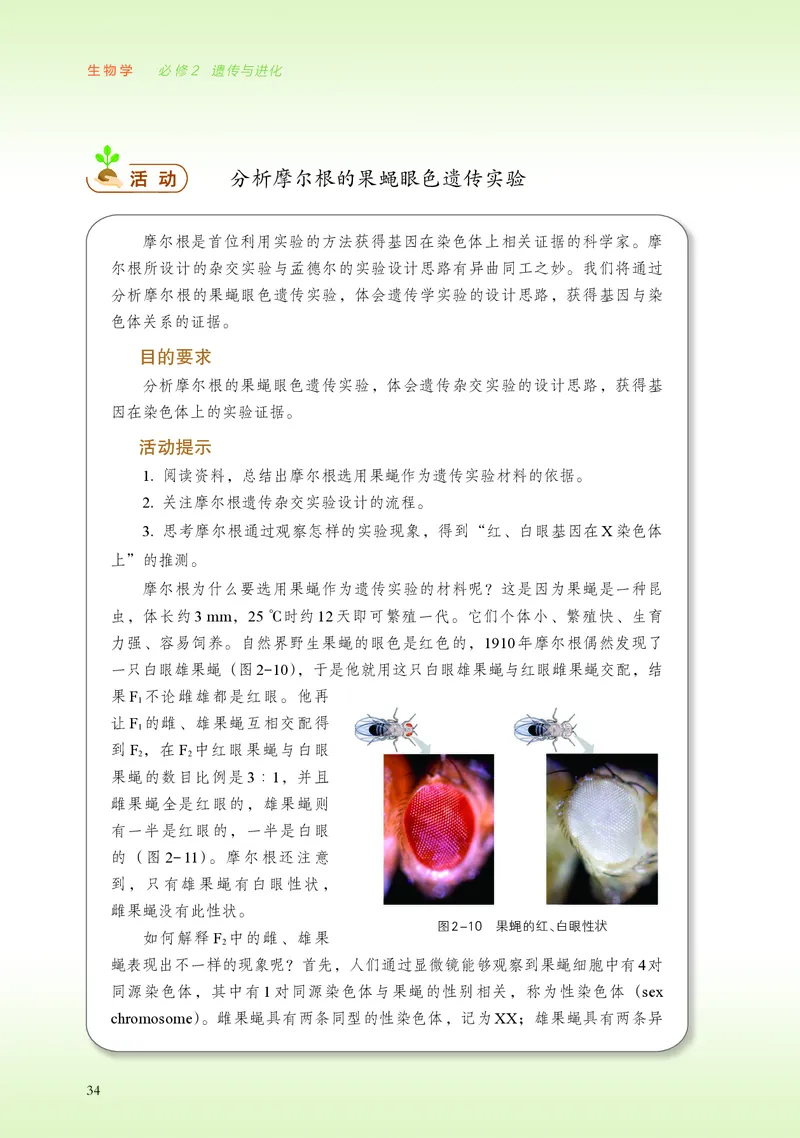 普通高中教科书&middot;生物学必修2遗传与进化(1)_高中全套电子教材及答案。_01高中电子教材全套_生物学_浙科版_高中年级_必修2遗传与进化