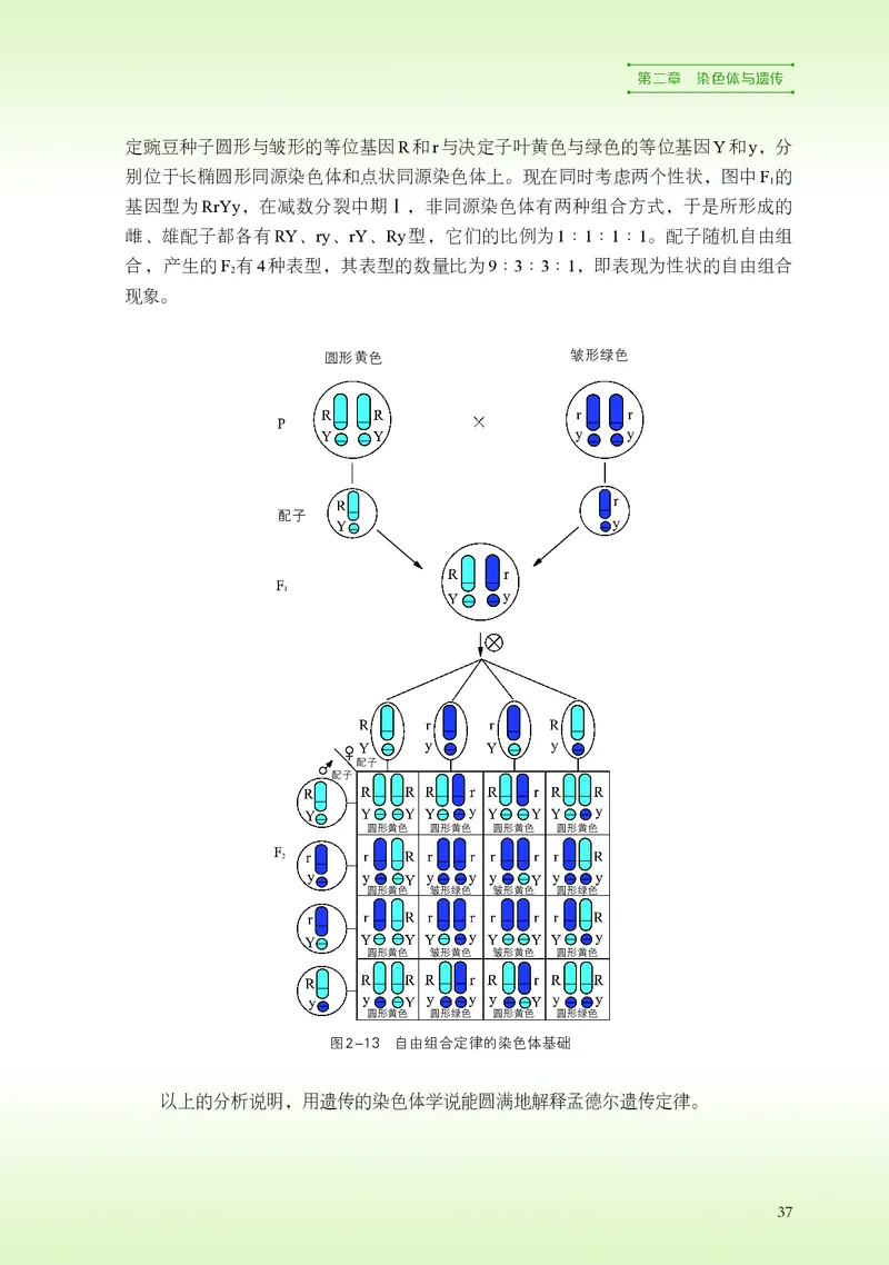 普通高中教科书&middot;生物学必修2遗传与进化(1)_高中全套电子教材及答案。_01高中电子教材全套_生物学_浙科版_高中年级_必修2遗传与进化