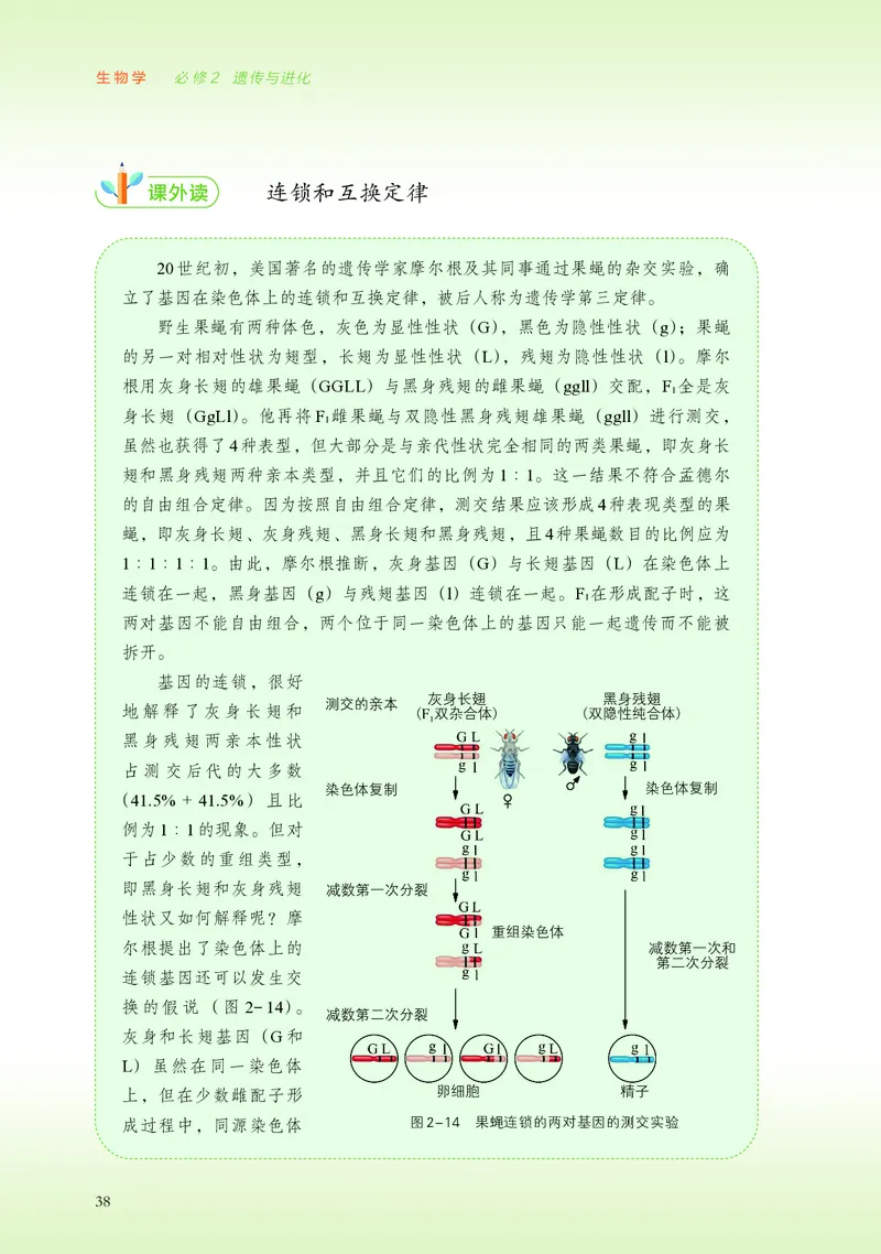 普通高中教科书&middot;生物学必修2遗传与进化(1)_高中全套电子教材及答案。_01高中电子教材全套_生物学_浙科版_高中年级_必修2遗传与进化