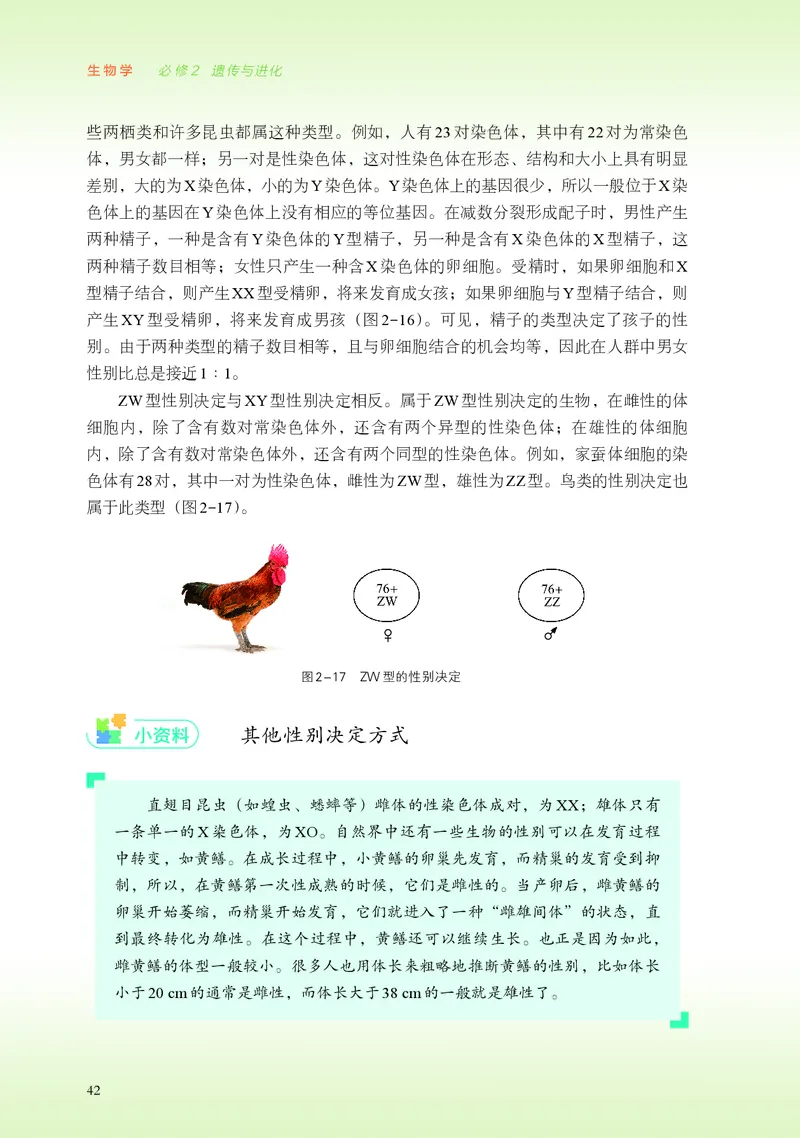 普通高中教科书&middot;生物学必修2遗传与进化(1)_高中全套电子教材及答案。_01高中电子教材全套_生物学_浙科版_高中年级_必修2遗传与进化