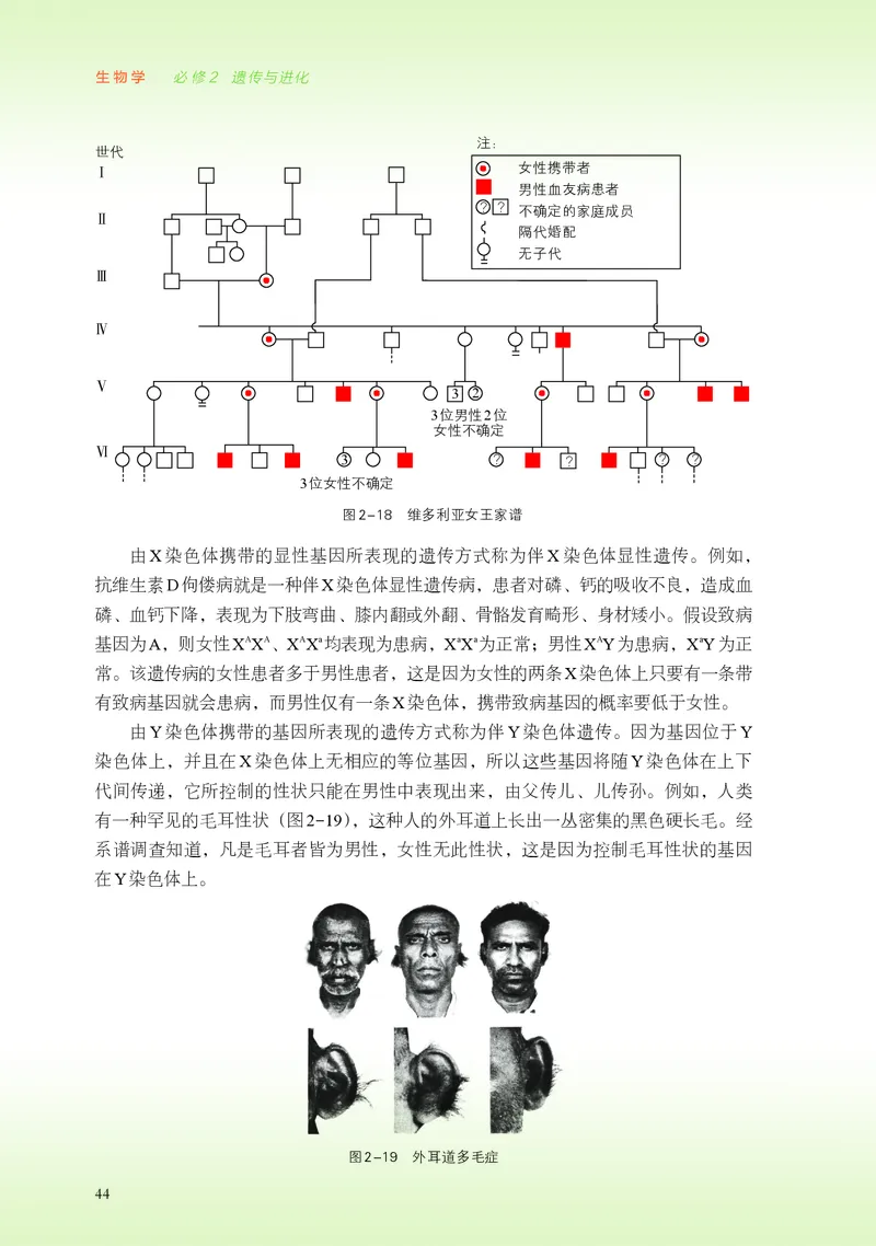 普通高中教科书&middot;生物学必修2遗传与进化(1)_高中全套电子教材及答案。_01高中电子教材全套_生物学_浙科版_高中年级_必修2遗传与进化