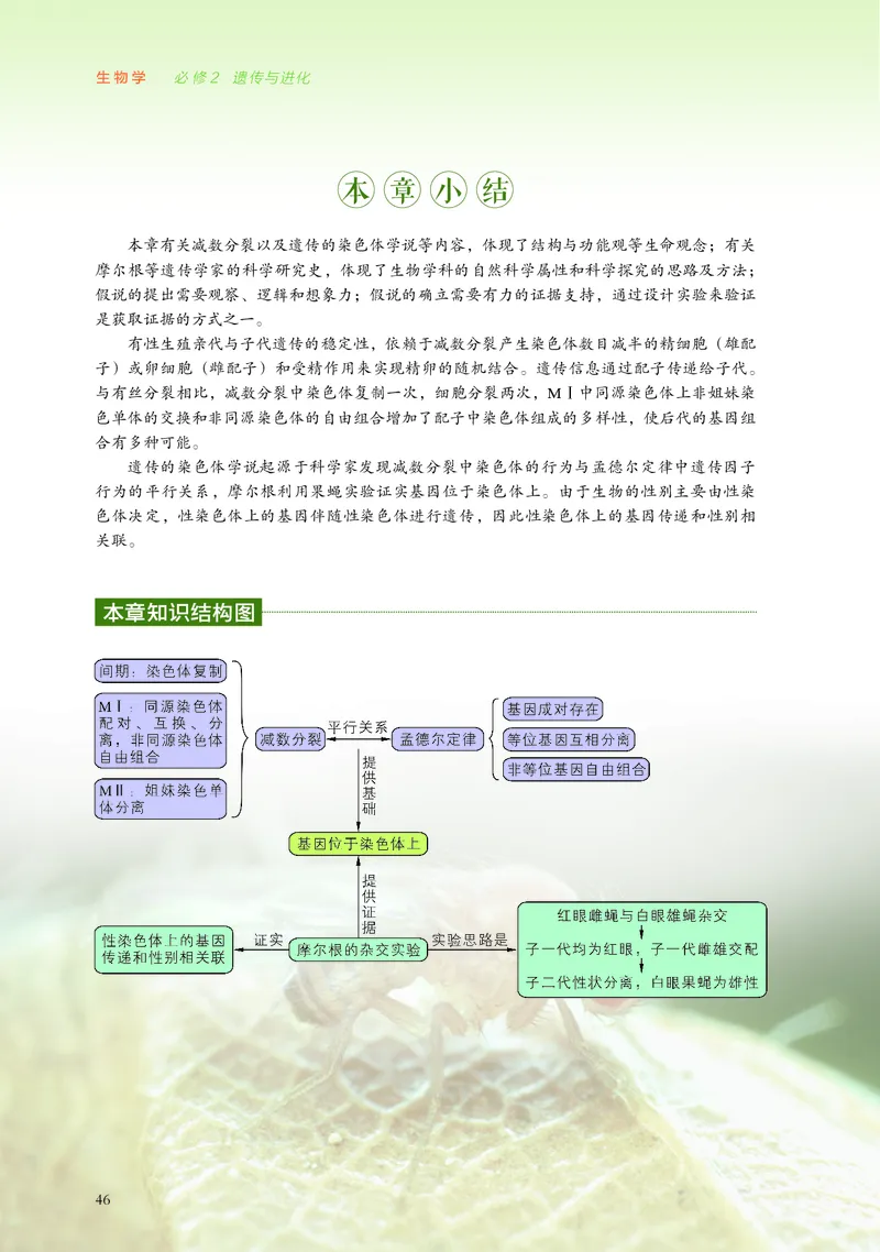 普通高中教科书&middot;生物学必修2遗传与进化(1)_高中全套电子教材及答案。_01高中电子教材全套_生物学_浙科版_高中年级_必修2遗传与进化