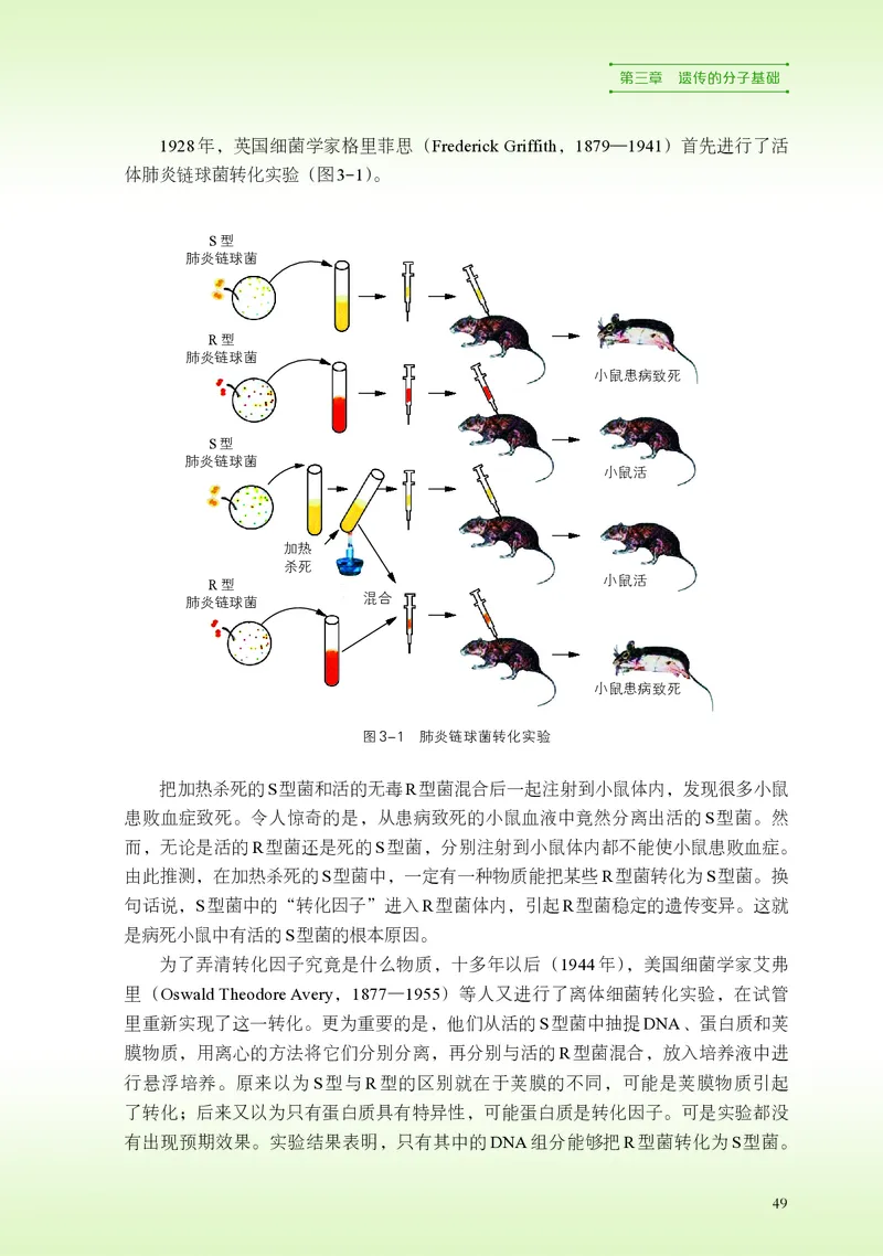 普通高中教科书&middot;生物学必修2遗传与进化(1)_高中全套电子教材及答案。_01高中电子教材全套_生物学_浙科版_高中年级_必修2遗传与进化