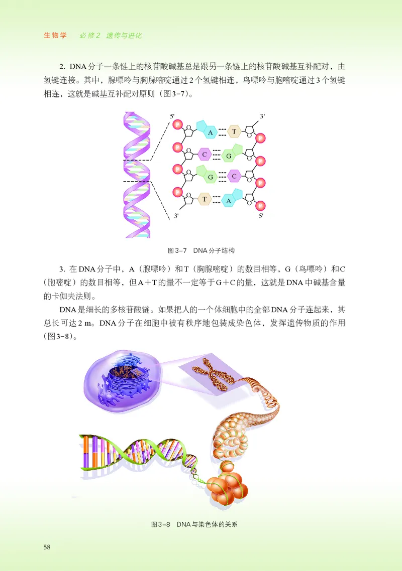 普通高中教科书&middot;生物学必修2遗传与进化(1)_高中全套电子教材及答案。_01高中电子教材全套_生物学_浙科版_高中年级_必修2遗传与进化