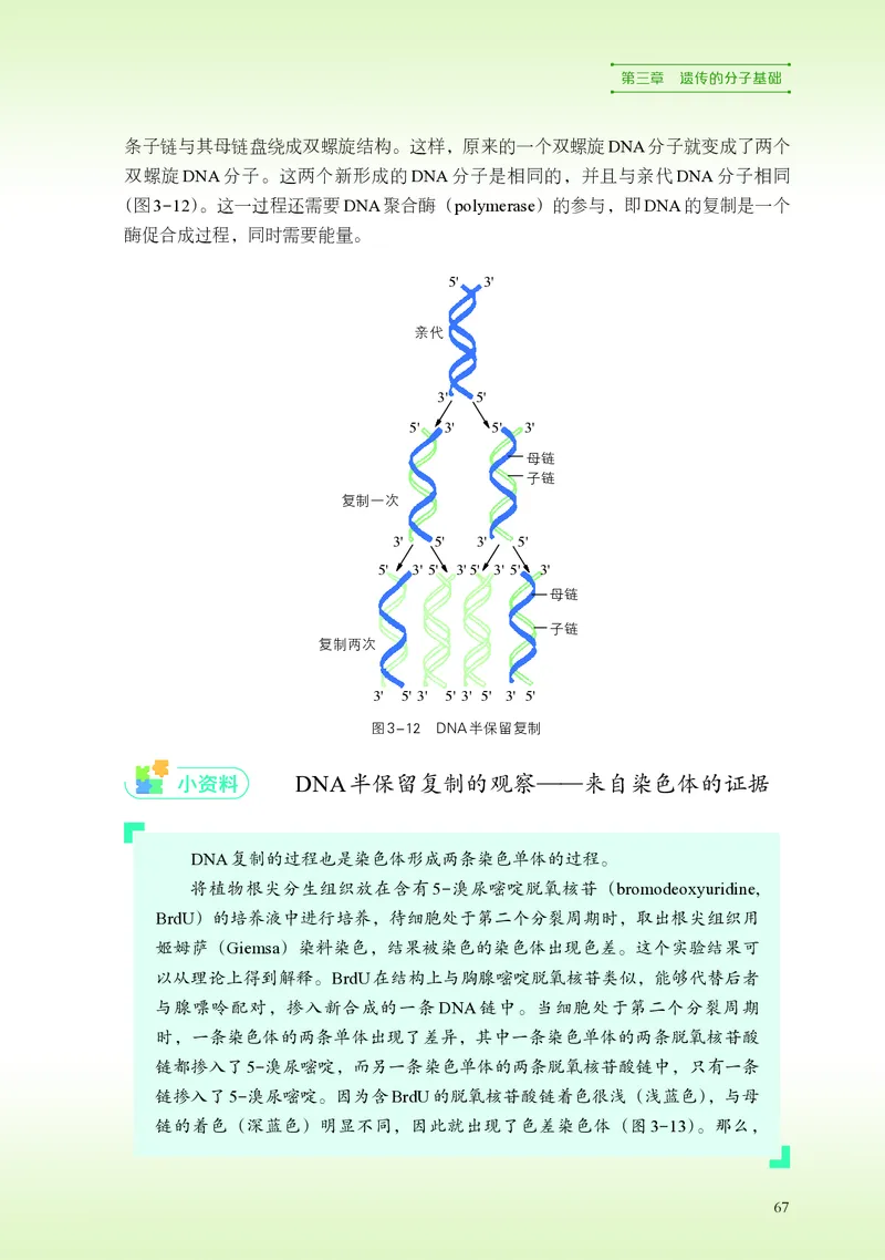 普通高中教科书&middot;生物学必修2遗传与进化(1)_高中全套电子教材及答案。_01高中电子教材全套_生物学_浙科版_高中年级_必修2遗传与进化
