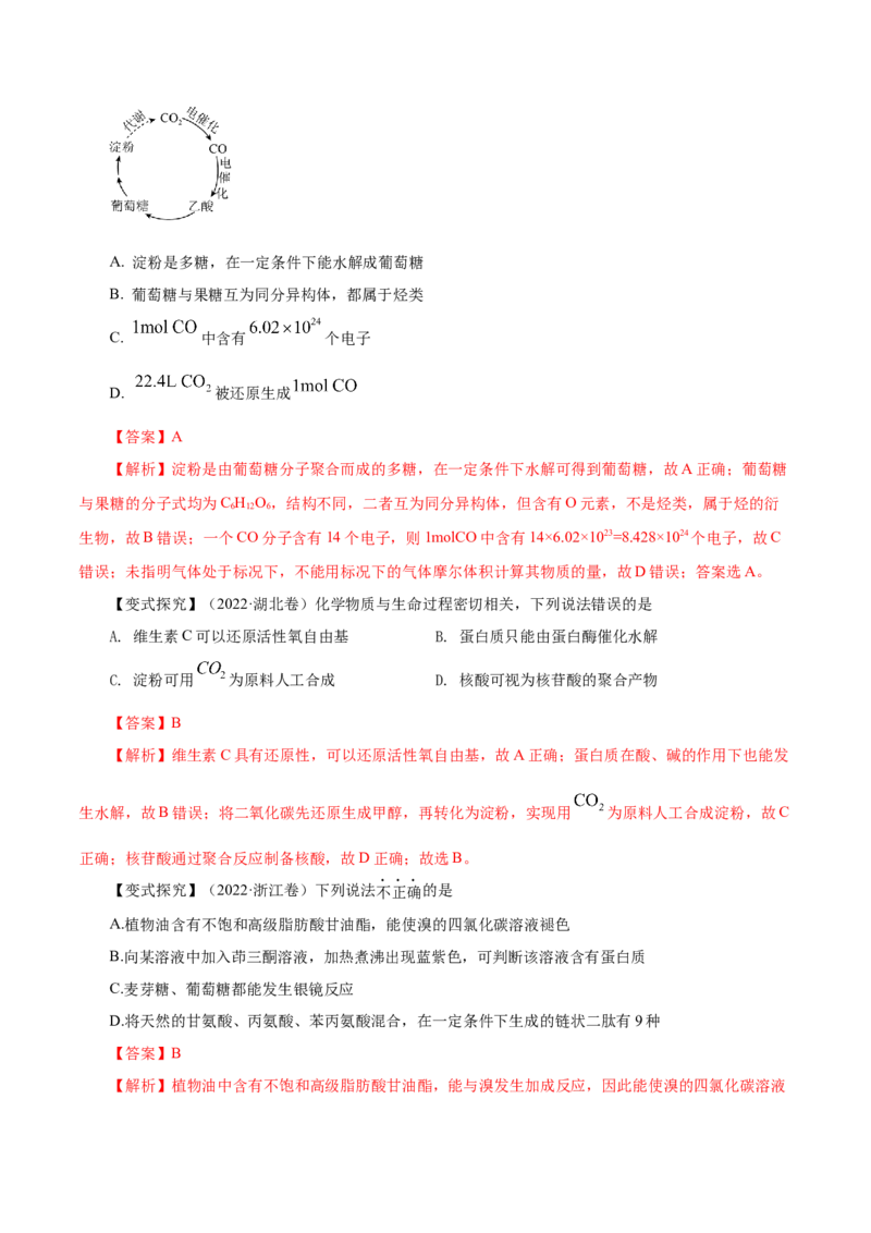 第35讲生物大分子与合成高分子（讲）（解析版）_05高考化学_新高考复习资料_2023年新高考资料_一轮复习_2023年高考化学一轮复习讲练测（新教材新高考）