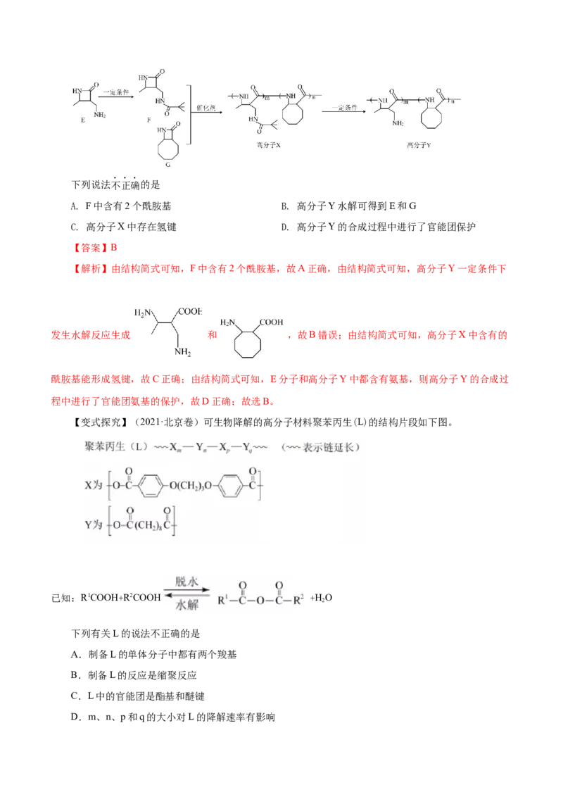 第35讲生物大分子与合成高分子（讲）（解析版）_05高考化学_新高考复习资料_2023年新高考资料_一轮复习_2023年高考化学一轮复习讲练测（新教材新高考）