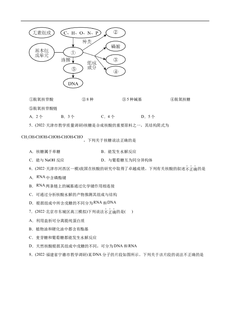考点42核酸（原卷版）_05高考化学_通用版（老高考）复习资料_2023年复习资料_一轮复习_备战2023年高考化学一轮复习考点帮（全国通用）