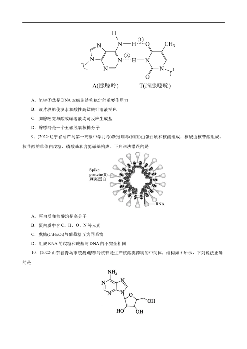 考点42核酸（原卷版）_05高考化学_通用版（老高考）复习资料_2023年复习资料_一轮复习_备战2023年高考化学一轮复习考点帮（全国通用）