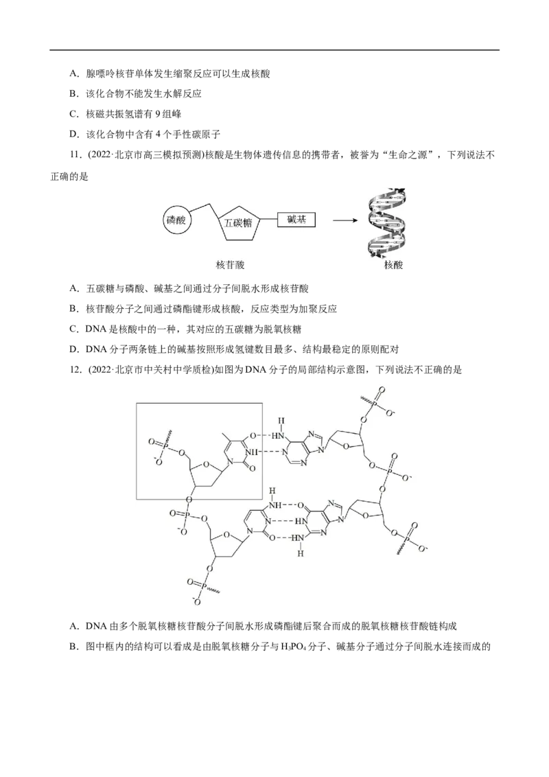 考点42核酸（原卷版）_05高考化学_通用版（老高考）复习资料_2023年复习资料_一轮复习_备战2023年高考化学一轮复习考点帮（全国通用）