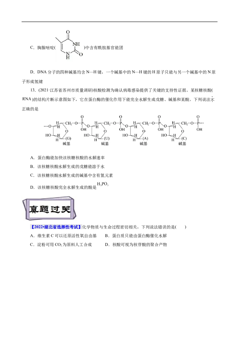考点42核酸（原卷版）_05高考化学_通用版（老高考）复习资料_2023年复习资料_一轮复习_备战2023年高考化学一轮复习考点帮（全国通用）