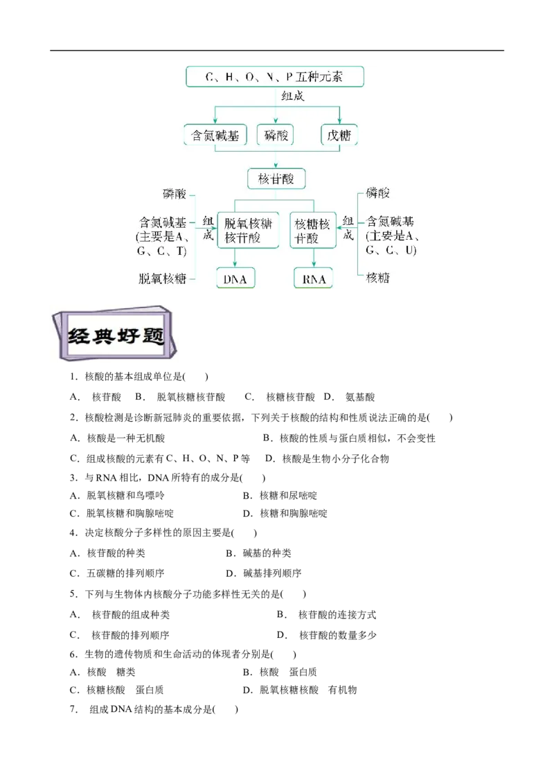 考点42核酸（原卷版）_05高考化学_通用版（老高考）复习资料_2023年复习资料_一轮复习_备战2023年高考化学一轮复习考点帮（全国通用）
